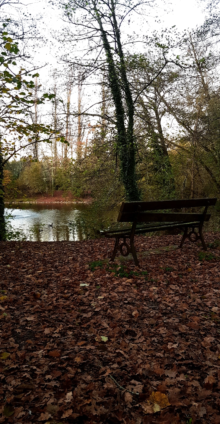 Photo n° 4 de l'avis de Julie.a fait le 17/11/2020 à 17:28