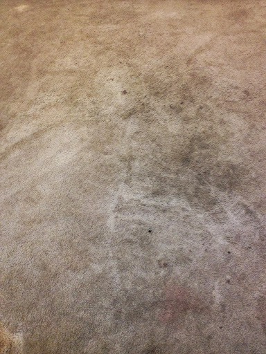 Carpet Cleaning Service «Able Janitorial & Carpet Services - Carpet Cleaning Longview, Tx», reviews and photos, 5734 TX-300 #15, Longview, TX 75604, USA