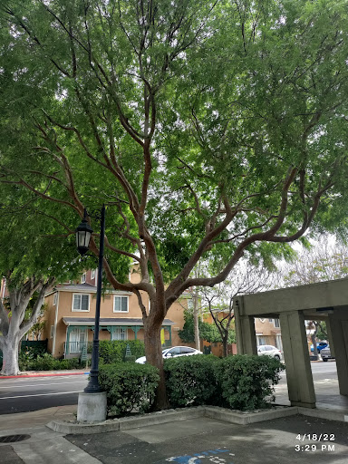 Achievement House Inc, 553 Higuera St, San Luis Obispo, CA 93401, USA, 