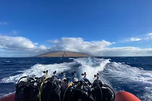 Maui Pacific Divers & Private Charters image