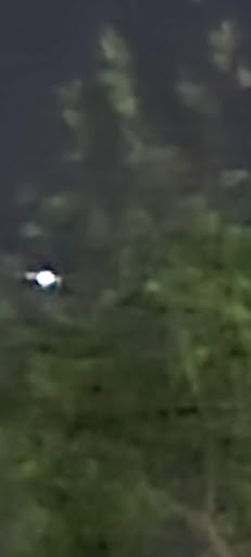 Blood Donation Center «CSL Plasma», reviews and photos