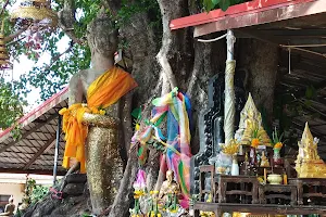 Wat Phuttha Mongkol image