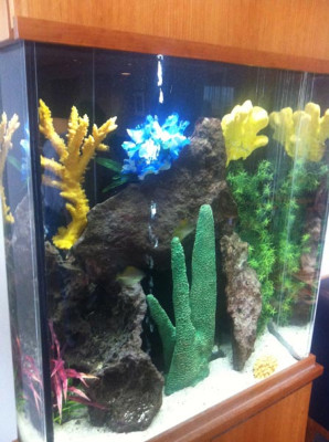 Aquarium «Advanced Aquarium Services», reviews and photos, 18451 152nd Ave N, Dayton, MN 55327, USA