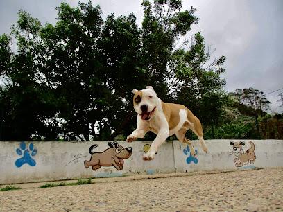RESIDENCIA CANINA MARINA DOG