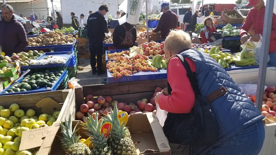 Mercado Bel La Paloma