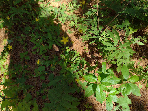 Bakery «King Arthur Flour», reviews and photos, 135 US-5, Norwich, VT 05055, USA