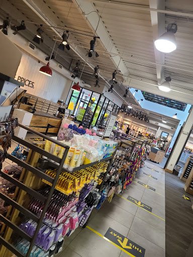 Shoe Store «DSW Designer Shoe Warehouse», reviews and photos, 60 NJ-17, Paramus, NJ 07652, USA