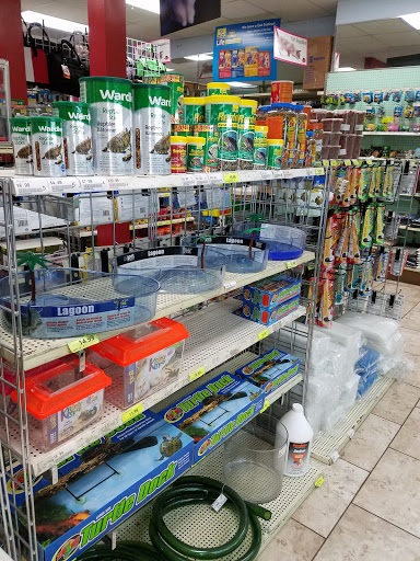 Pet Store «All Pet Center», reviews and photos, 1950 S Atlantic Blvd, Monterey Park, CA 91754, USA