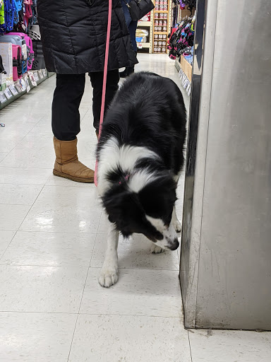 Pet Supply Store «Pet Supplies Plus», reviews and photos, 4505 S 76th St, Greenfield, WI 53220, USA