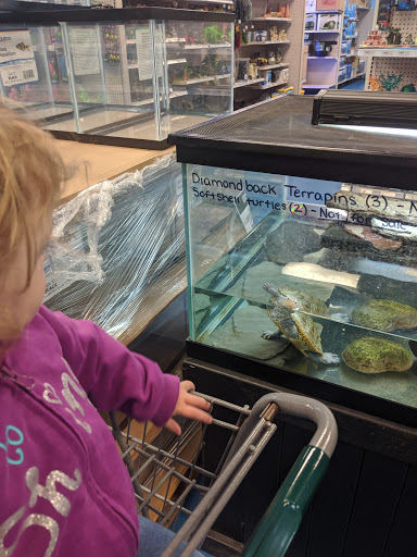 Tropical Fish Store «The Hidden Reef, Inc», reviews and photos, 4501 New Falls Rd, Levittown, PA 19056, USA
