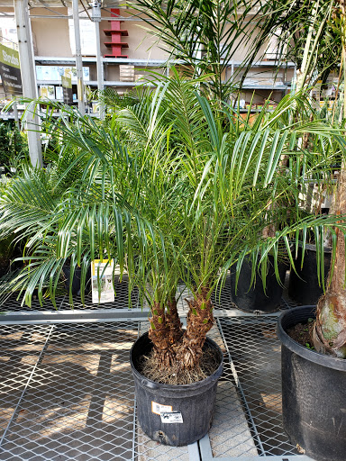 Home Improvement Store «The Home Depot», reviews and photos, 845 W Shaw Ave, Clovis, CA 93612, USA