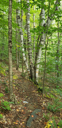 Nature Preserve «Eshqua Bog Natural Area», reviews and photos, Garvin Hill Rd, Woodstock, VT 05091, USA