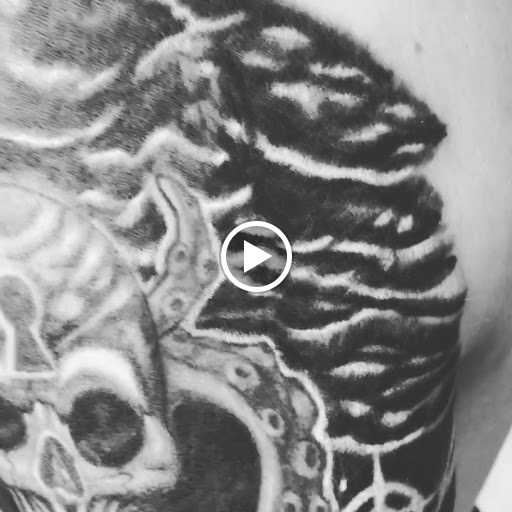 Tattoo Shop «Dark Horse Tattoo», reviews and photos, 1305 Stewart St, Seattle, WA 98109, USA