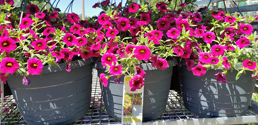 Gift Shop «Beatline Nursery, Garden Center & Gifts», reviews and photos, 7091 Beatline Rd, Long Beach, MS 39560, USA