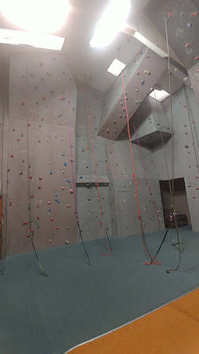 Indoor Climbing Wall - Palmerston North