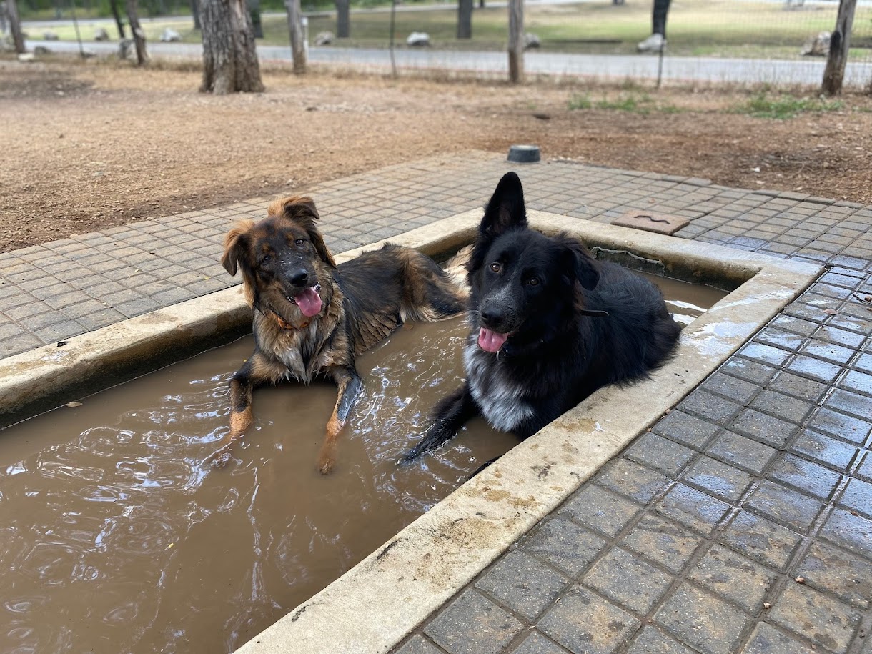 Olmos Park Dog Park