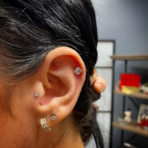 Explore frenchie tattoo ideas, creative tattoo ideas in Cary, available at Fine Art Body Piercing By Lilith Mae