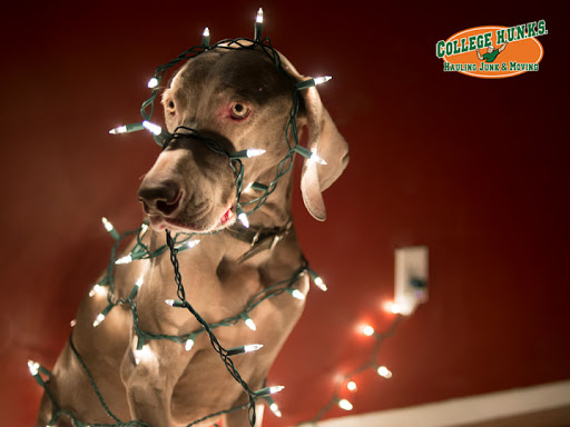 Moving Company «College Hunks Hauling Junk and Moving», reviews and photos, 156 West End Ave, Knoxville, TN 37934, USA