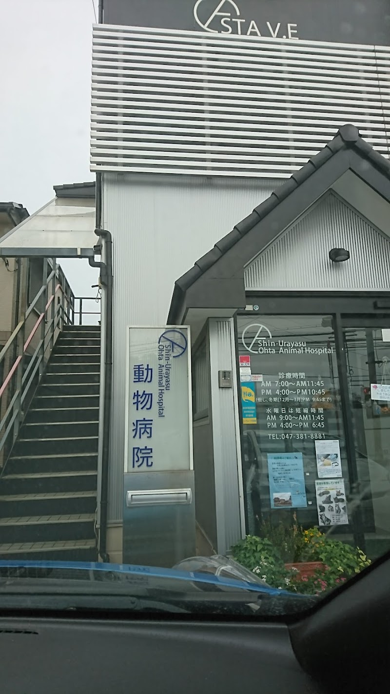 新浦安太田動物病院