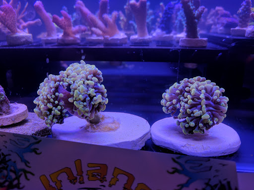 Recreation Center «Tukwila Community Center», reviews and photos, 12424 42nd Ave S, Tukwila, WA 98168, USA