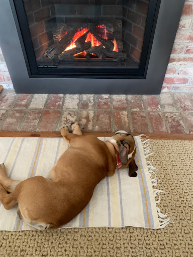 Auto Repair Shop «Masters Auto Repair», reviews and photos, 111 Camino Alto, Mill Valley, CA 94941, USA