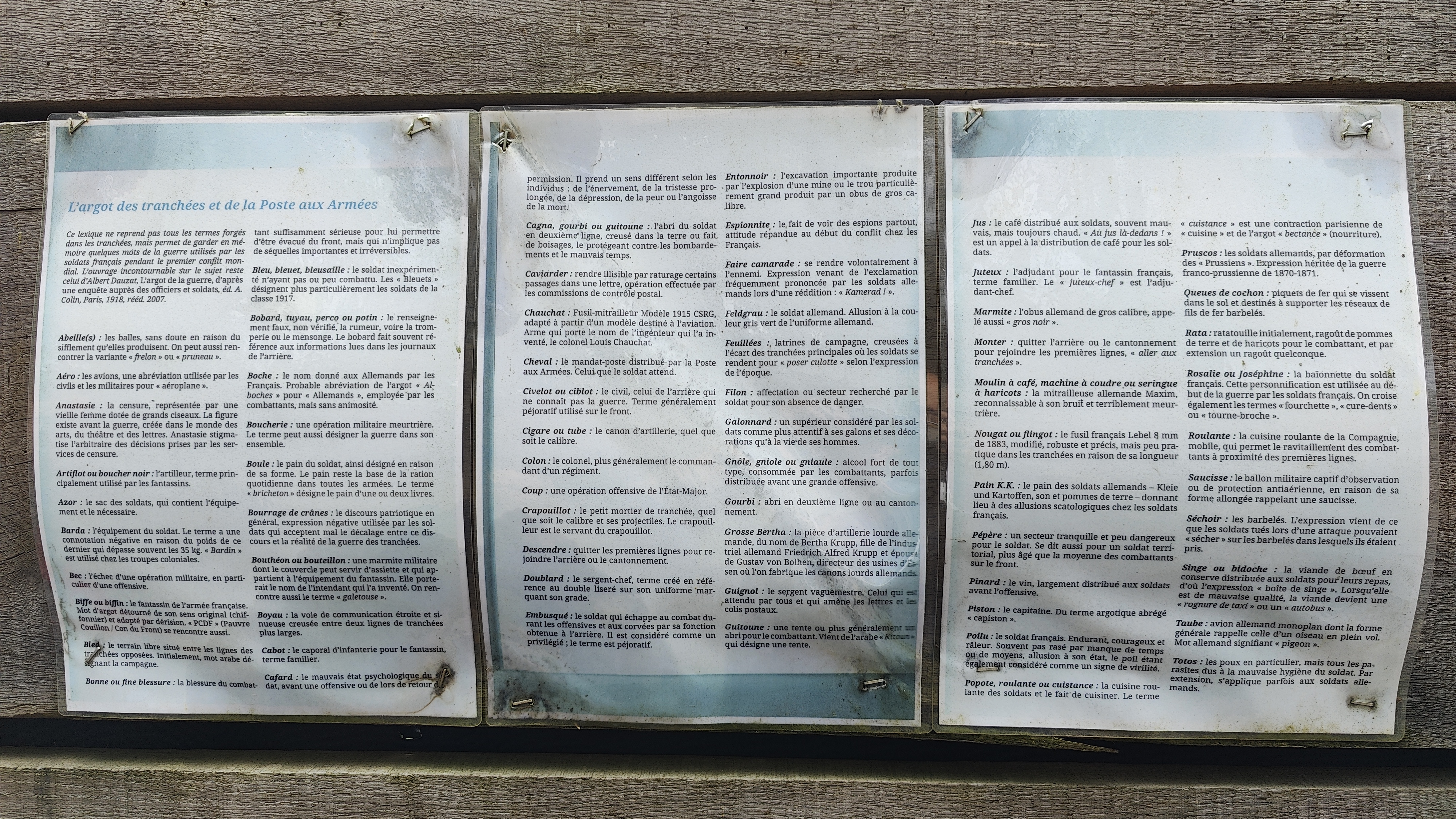 Photo n° 11 de l'avis de david.r fait le 04/08/2023 à 23:08