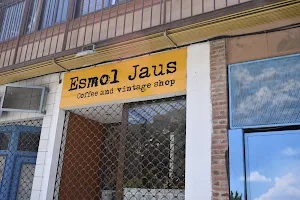 Esmol Jaus image