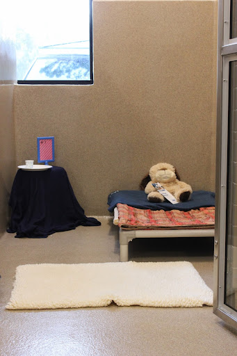 Conejo Valley Veterinary Hospital image