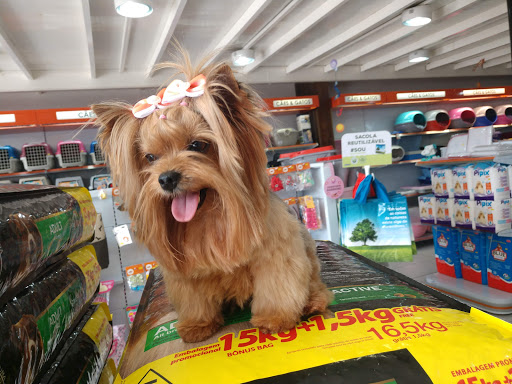 Logo da empresa - Ratones Pet & Garden