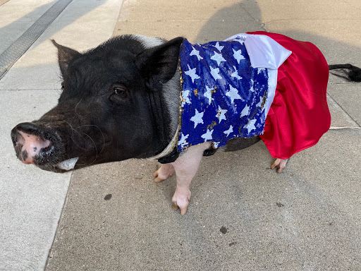 Movie Theater «Capitol II Theatre», reviews and photos, 116 1st St N, Newton, IA 50208, USA