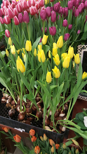 Grocery Store «Kroger Fresh Fare», reviews and photos, 8999 Macomb St, Grosse Ile Township, MI 48138, USA