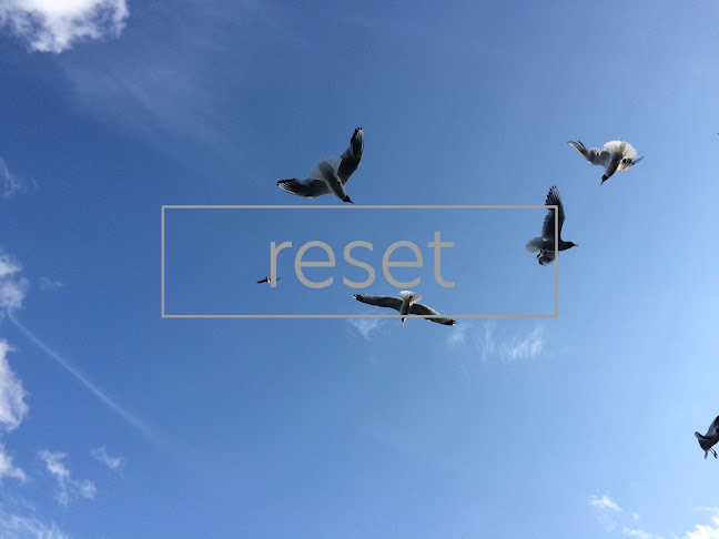 Reset