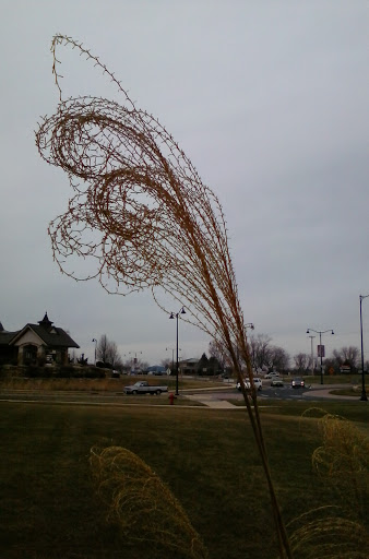 Supermarket «Miller & Sons Supermarket», reviews and photos, 1845 Springdale St, Mt Horeb, WI 53572, USA