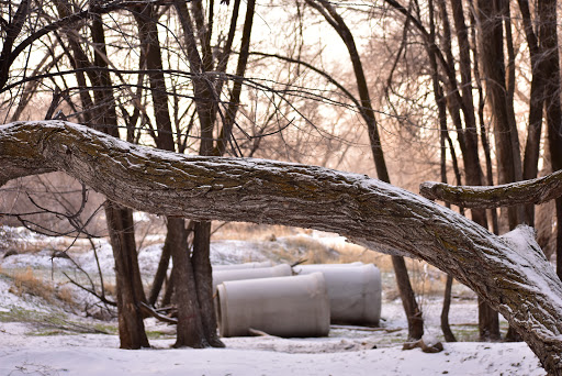 Park «Art Dye», reviews and photos, 550 E 1000 N, American Fork, UT 84003, USA