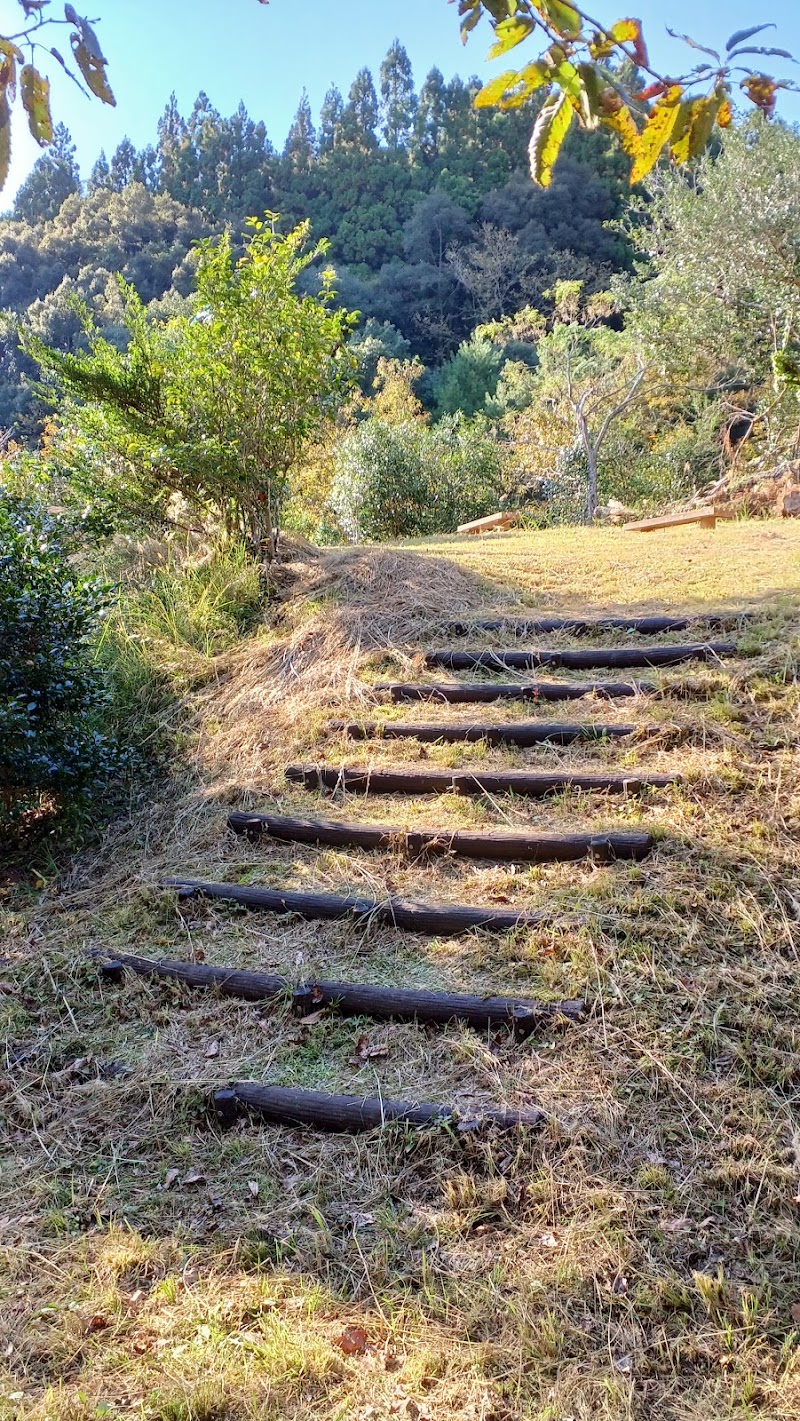 池の上公園