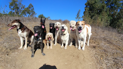 Park «Ernest E. Debs Regional Park», reviews and photos, 4235 Monterey Rd, Los Angeles, CA 90032, USA