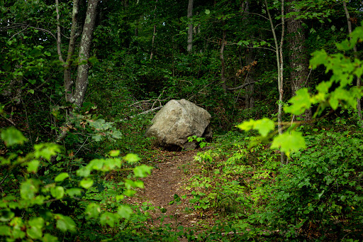 Park «Acushnet Sawmill», reviews and photos, 32 Mill Rd, Acushnet, MA 02743, USA