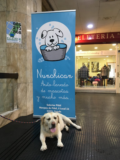 Nunchican