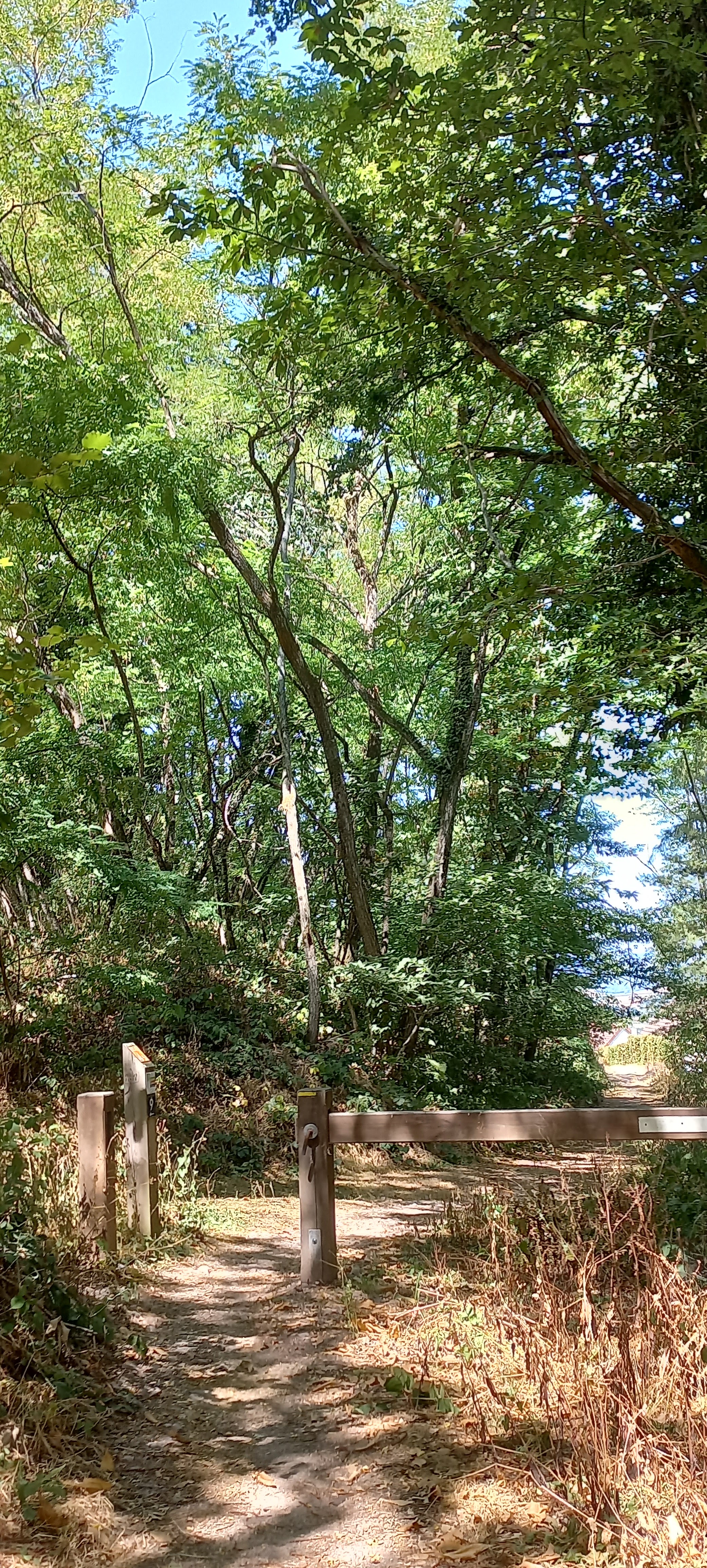 Photo n° 40 de l'avis de Françoise.o fait le 06/08/2022 à 20:53