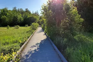 Oak Ridges Corridor Conservation Reserve image