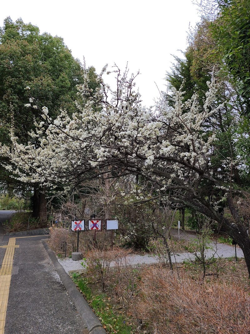 万葉植物園