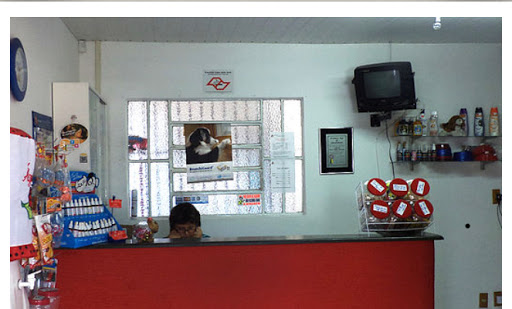 All pet centro medico Veterinário em Santo André - SP