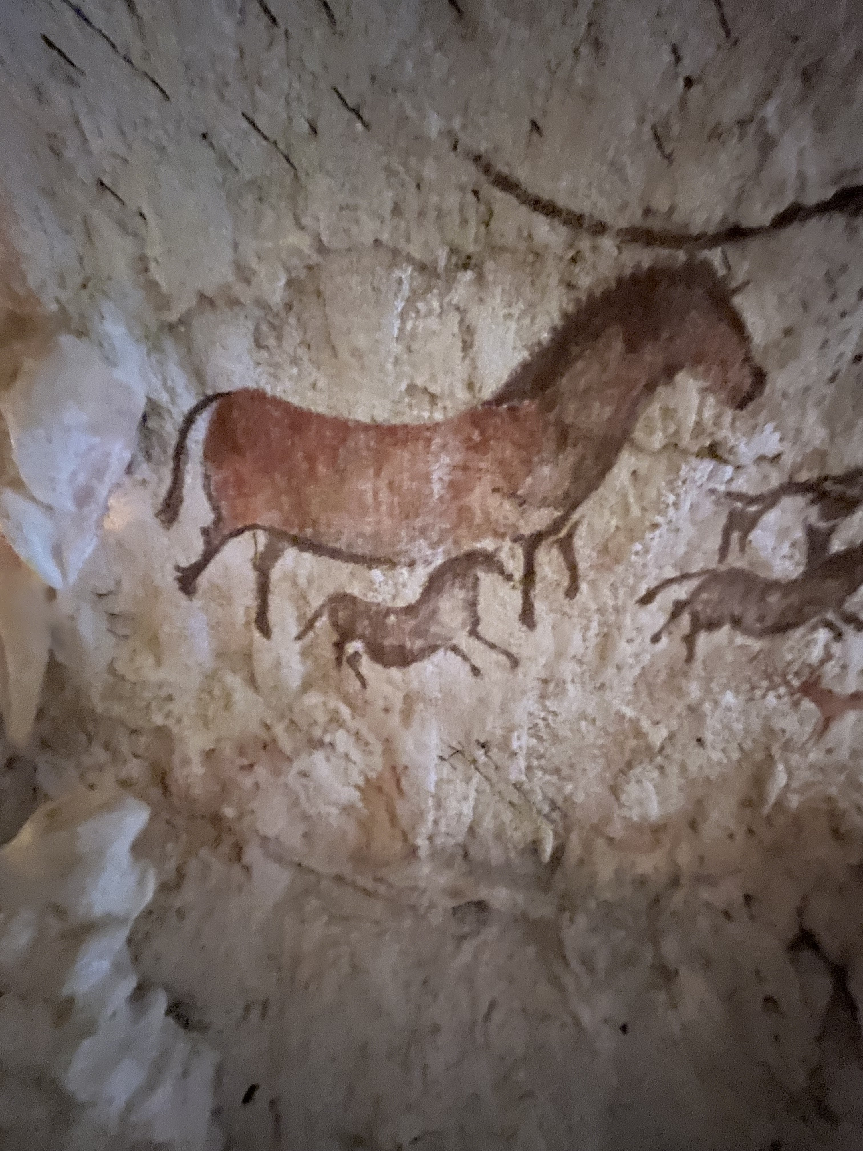 Photo n° 18 de l'avis de Lucille.p fait le 10/08/2023 à 21:42