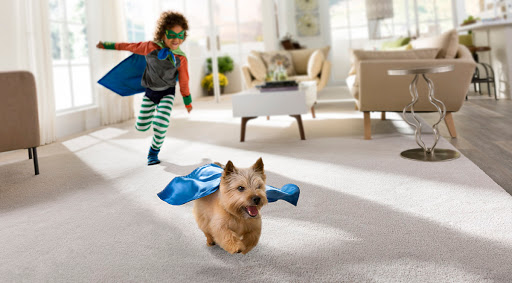 Carpet Now - Austin Carpet Installation