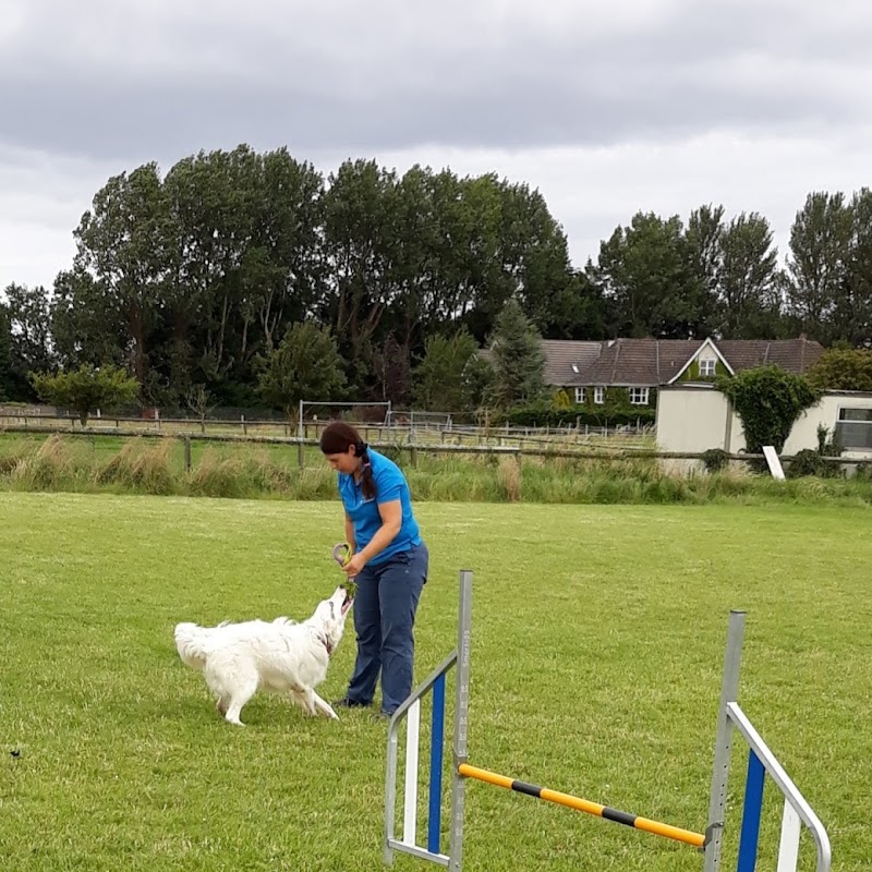 Dublin Pet School