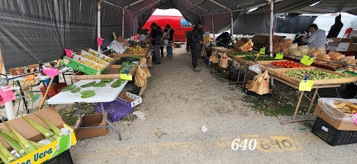 Flea Market «Montana Charlie’s», reviews and photos, 255 S Joliet Rd, Bolingbrook, IL 60440, USA