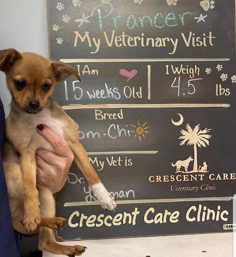 Insurance Agency «Allison DiTullio - State Farm Insurance Agent», reviews and photos