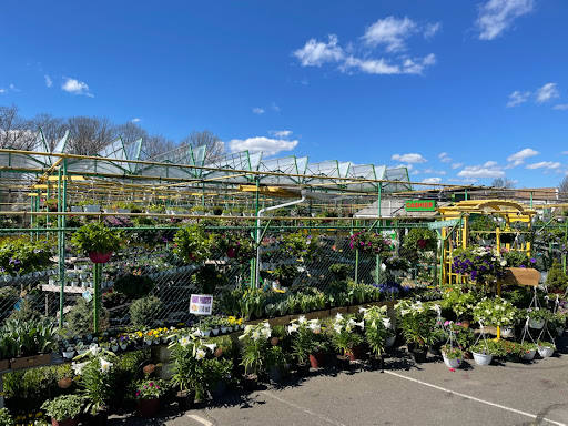 Florist «Dutch & Olgas Greenhouse», reviews and photos, 1285 NJ-36, Hazlet, NJ 07730, USA