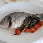 Photo n°4 de l'avis de Raul.i fait le 28/01/2024 à 07:15 sur le  Bar Ristorante Pizzeria Le Rose à Scanzano Jonico