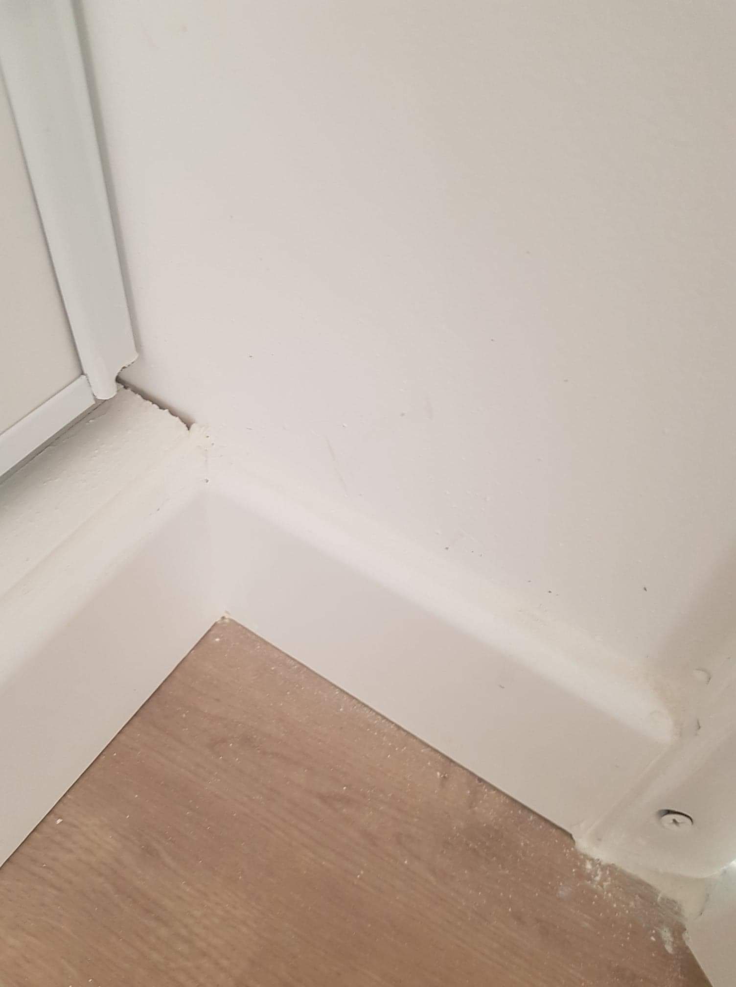 Photo n° 7 de l'avis de Erwan.a fait le 03/09/2023 à 12:43